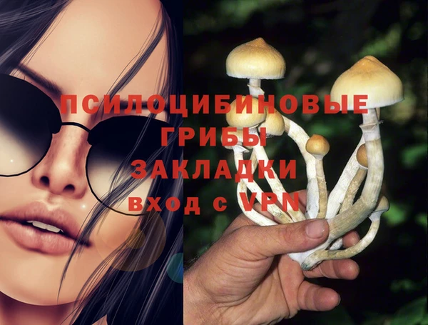 индика Пересвет