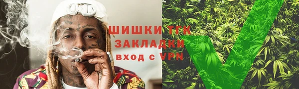индика Пересвет