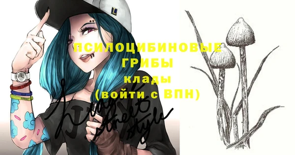 метадон Пестово