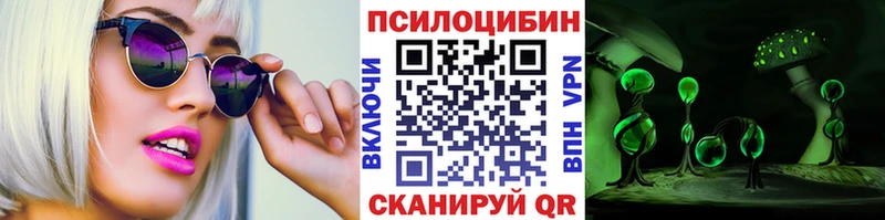 закладка  Крым  Псилоцибиновые грибы Magic Shrooms 